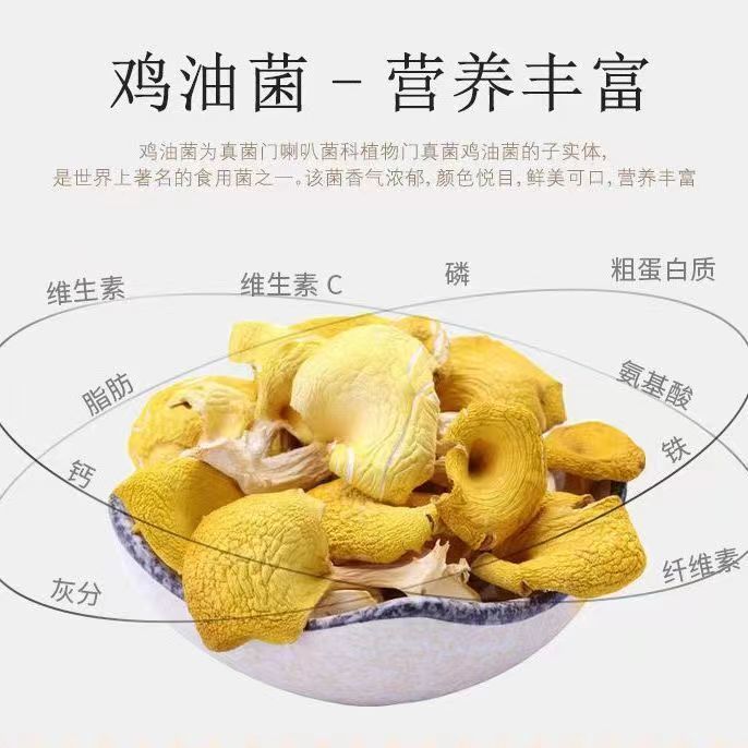 【鸡油菌干货】黄金菇榆黄菌干云南特产非野生菌正品保障新货