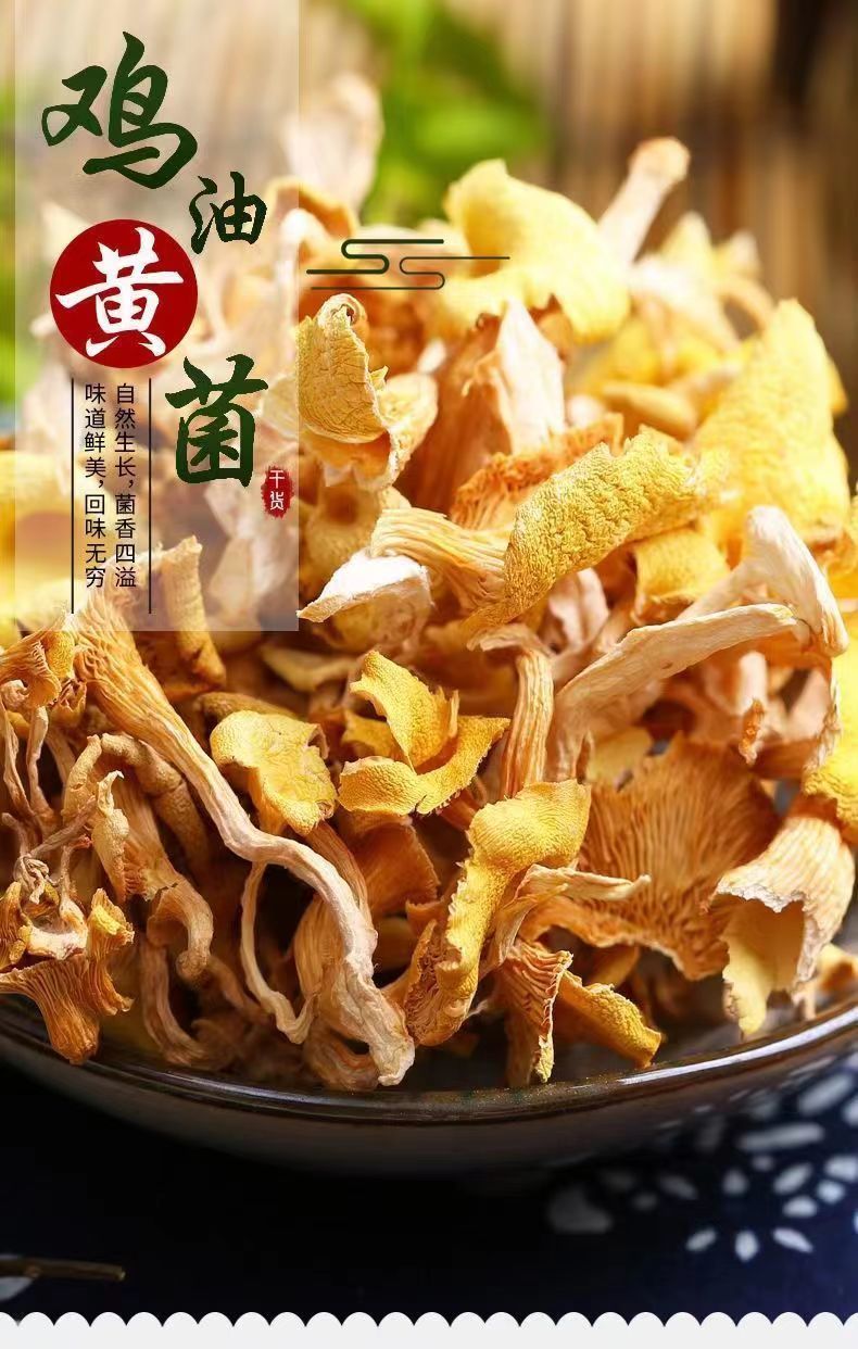 【鸡油菌干货】黄金菇榆黄菌干云南特产非野生菌正品保障新货