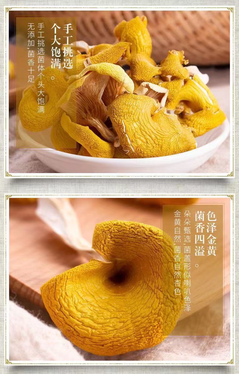 【鸡油菌干货】黄金菇榆黄菌干云南特产非野生菌正品保障新货