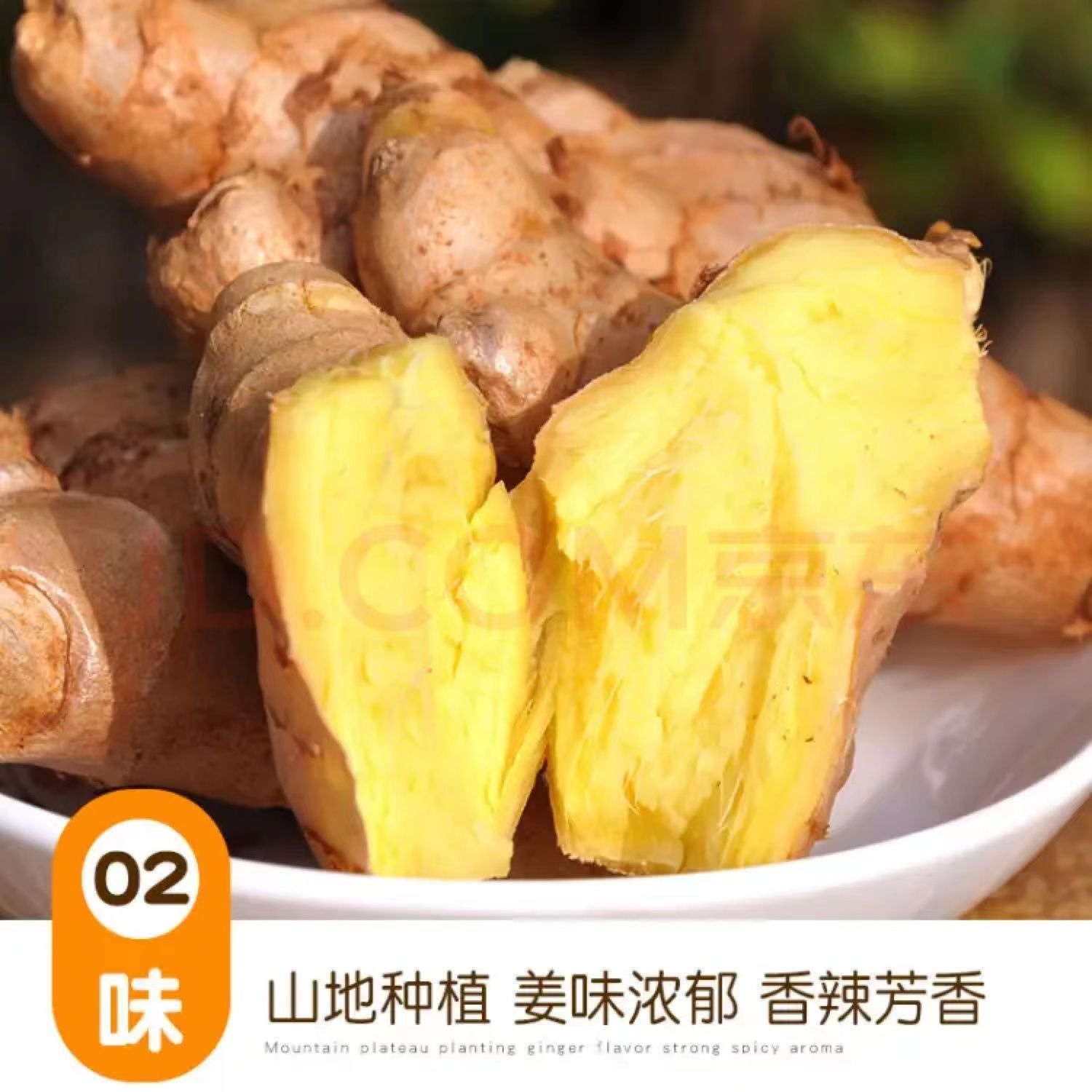 现挖现发 山东生姜新鲜大黄姜老姜月子姜生姜整箱生姜批发包邮 咩吔值得买