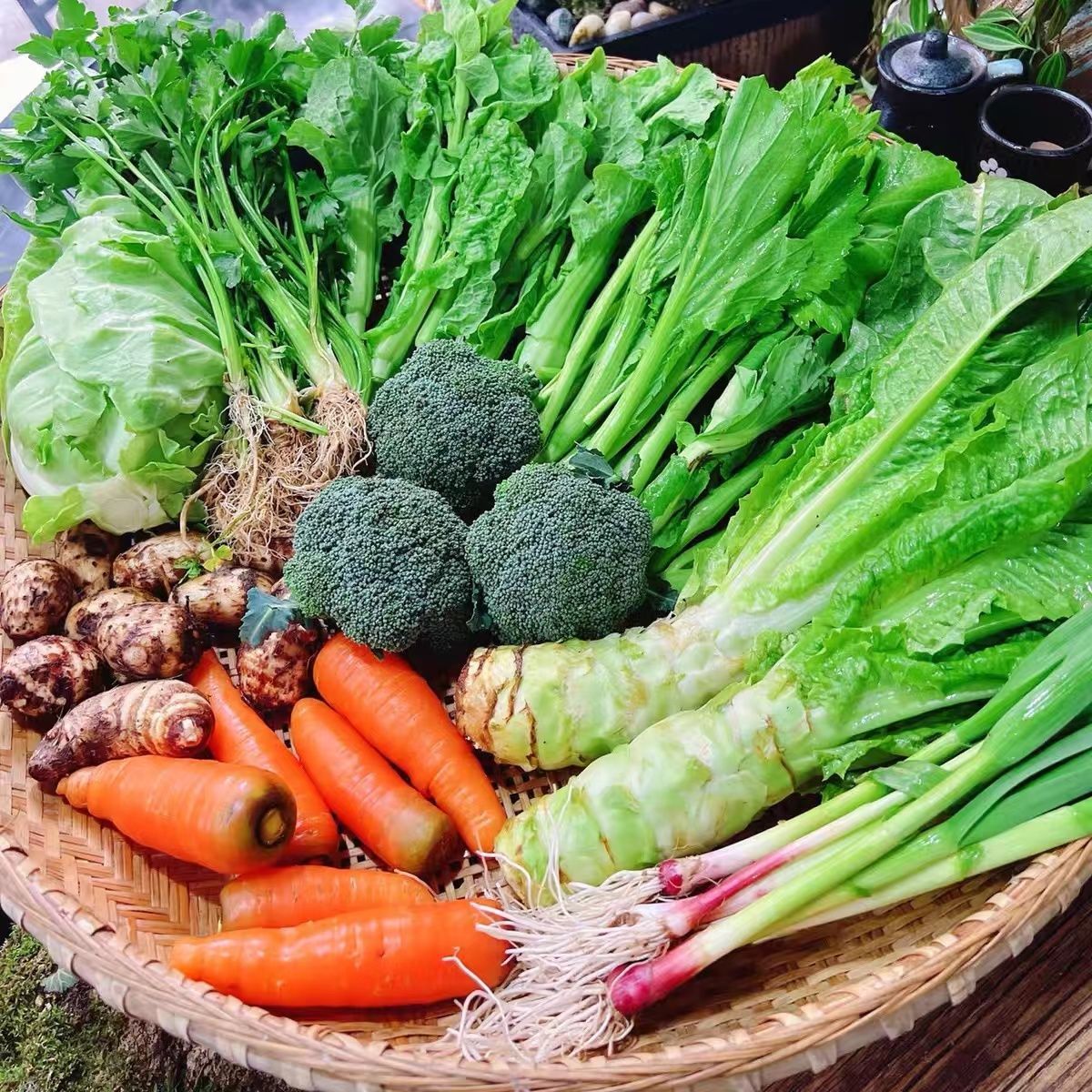 【当天直发上海】蔬菜当季蔬菜组合包邮随机搭配自选蔬菜现摘混搭