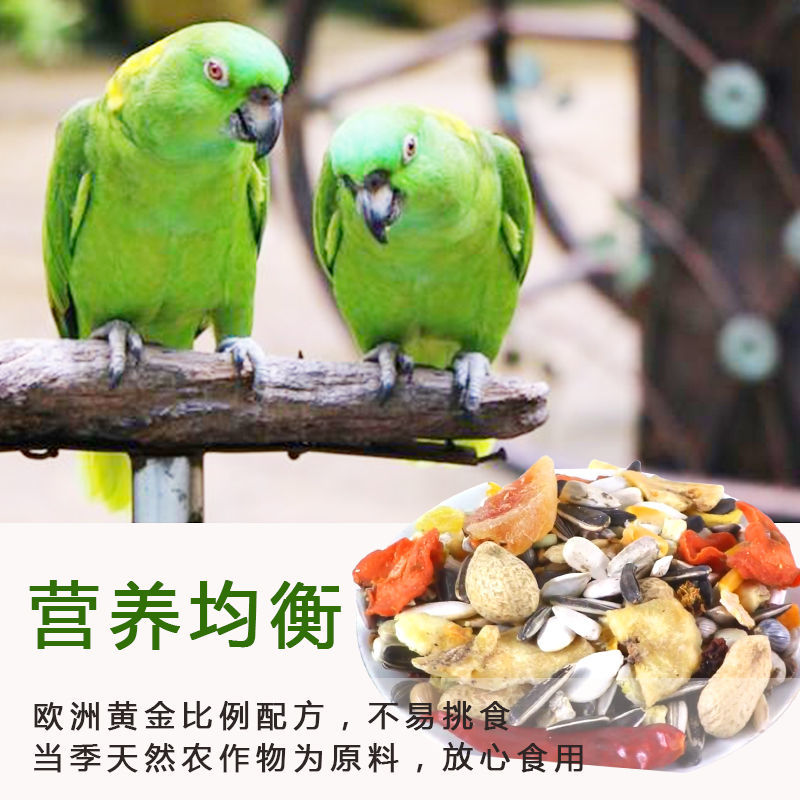 RM-1023大鹦鹉水果粮金刚亚历山大灰鸟食饲料3磅鸟粮鸟食物1362g
