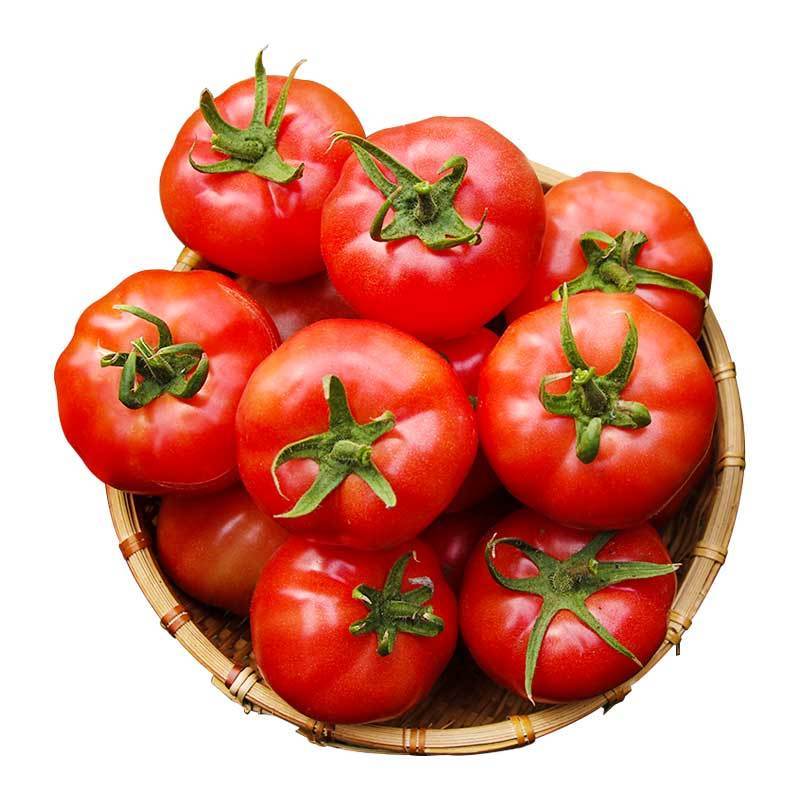 165720-云南普罗旺斯西红柿新鲜现摘自然熟沙瓤西红柿生吃水果新鲜番茄-详情图