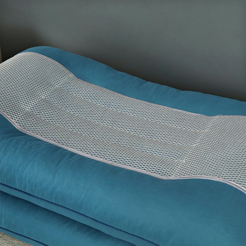 嘉之裳保健枕决明子家用成人护颈椎助眠硬枕头枕芯不易变形学生枕