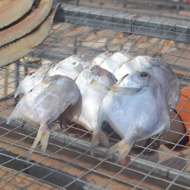 165780-深海银鲳鱼干烧烤小鱼干酥脆零食渔家自晒咸鱼干海鲜鲜鱼-详情图