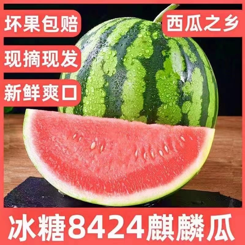165677-现摘现发麒麟8424薄皮西瓜应季水果爆甜多汁精美包装包邮坏果包赔-详情图