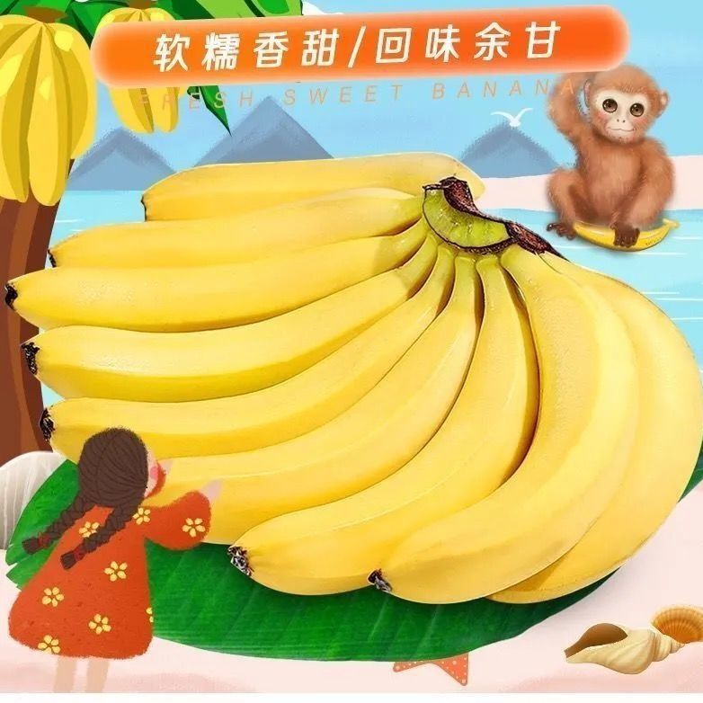 165851-云南大香蕉新鲜 0斤自然熟当季水果芭蕉非广西小米蕉苹果蕉甜香蕉-详情图