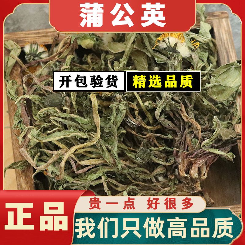 正品干蒲公英整根带根晒干清仓婆婆丁免煮养生泡水即食蒲公英全株
