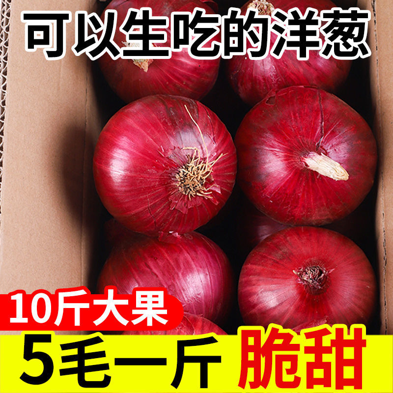 【超低价】新鲜紫皮洋葱批发价小洋葱圆葱头10斤/5斤/3斤新鲜蔬菜