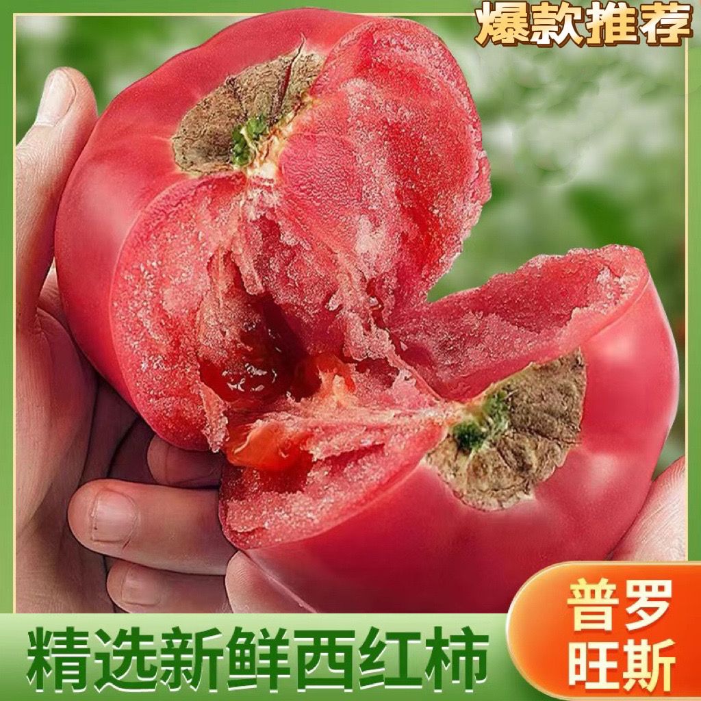 山东普罗旺斯生吃西红柿 新鲜沙瓤大番茄自然熟水果粉柿子1/5斤装