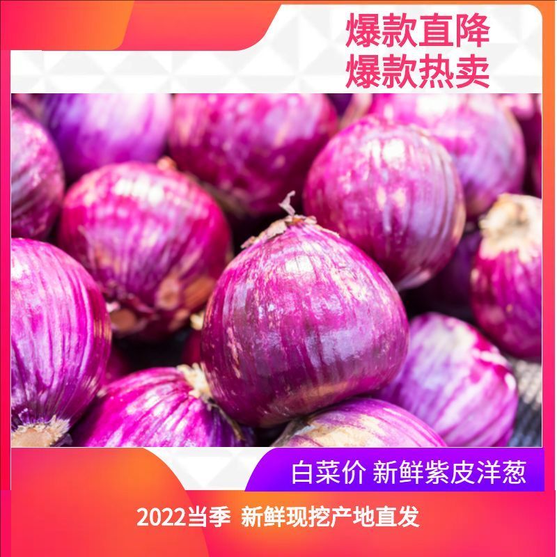 2022【超低价】紫皮洋葱新鲜批发水果洋葱农家自种圆葱批发价