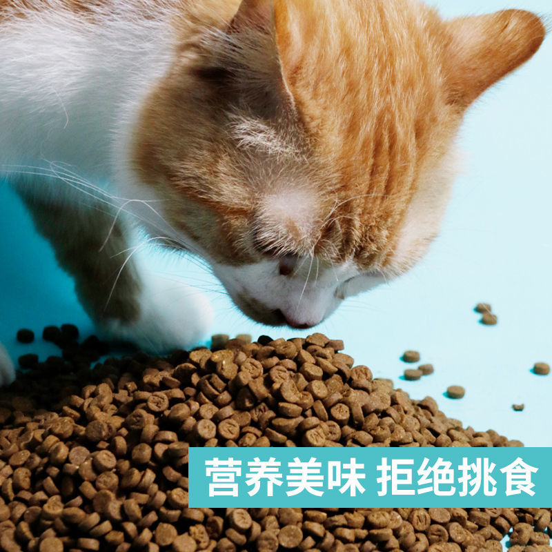 猫粮低温烘培猫主食粮试吃成猫幼猫蓝白蓝猫英短猫粮猫主食高蛋白