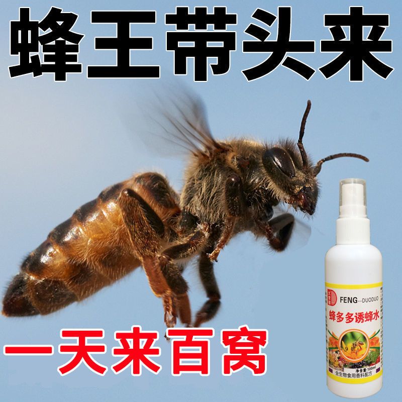 诱蜂水【蜂王带头来】分蜂诱蜂膏引蜂蜜蜂信息素野外专用诱蜂神器