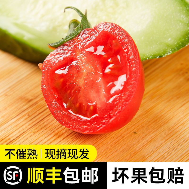 秋趣圣女果小番茄山东3斤5斤西红柿水果小黄瓜组合新鲜现摘生吃