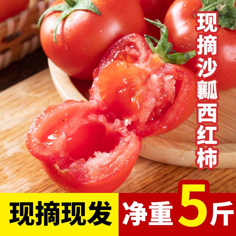【新鲜现摘】普罗旺斯水果番茄西红柿新鲜生吃自然成熟沙瓤3斤5斤