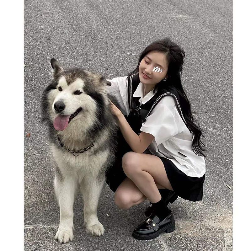 Summer college style uniform jk white short-sleeved shirt female top loose shirt Japanese black pleated skirt suit