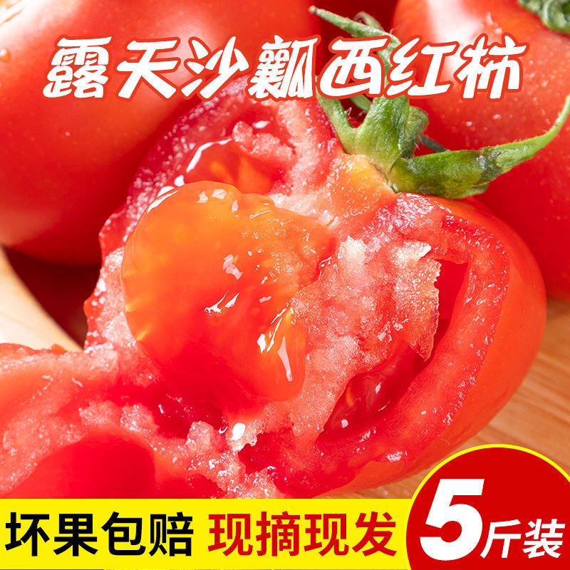 【新鲜现摘】普罗旺斯水果番茄西红柿新鲜生吃自然成熟沙瓤3斤5斤