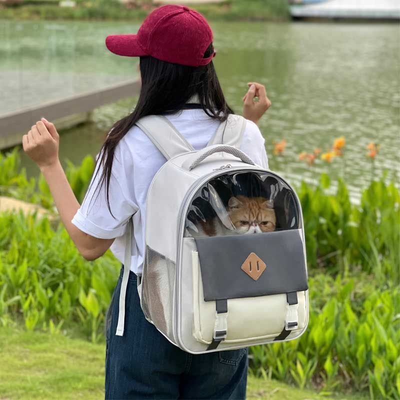 Cat Backpack Summer Outing Portable Cat Bag Breathable School Bag Canvas Shoulder Large Capacity Pet Bag Cat Carrying Bag