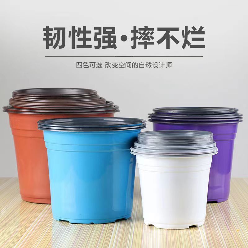 一次性清仓加仑盆特价超厚耐用简易直销加厚双色盆菜盆育苗育花