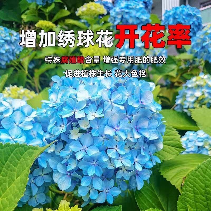 绣球催花促芽剂防花蔫黄叶不开花促发芽开花延长花期免稀释叶面肥 图片 9