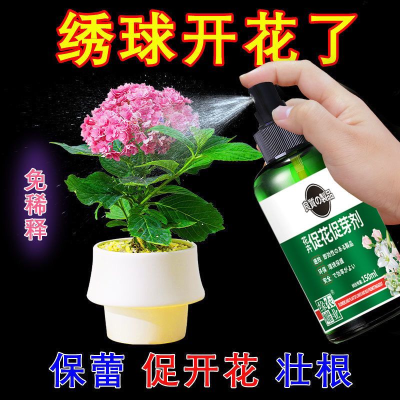 绣球催花促芽剂防花蔫黄叶不开花促发芽开花延长花期免稀释叶面肥 图片 3