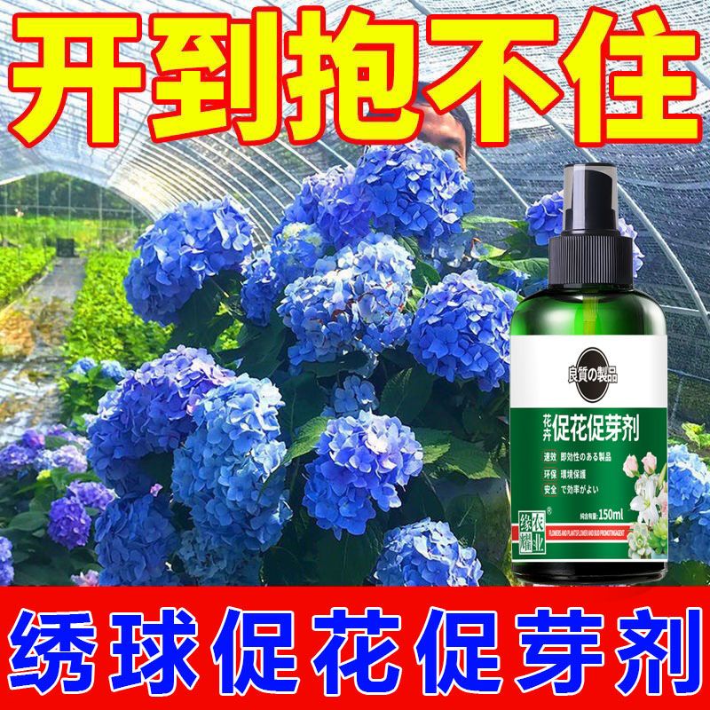 绣球催花促芽剂防花蔫黄叶不开花促发芽开花延长花期免稀释叶面肥 图片 4