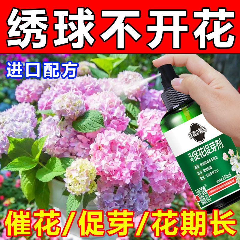 绣球催花促芽剂防花蔫黄叶不开花促发芽开花延长花期免稀释叶面肥
