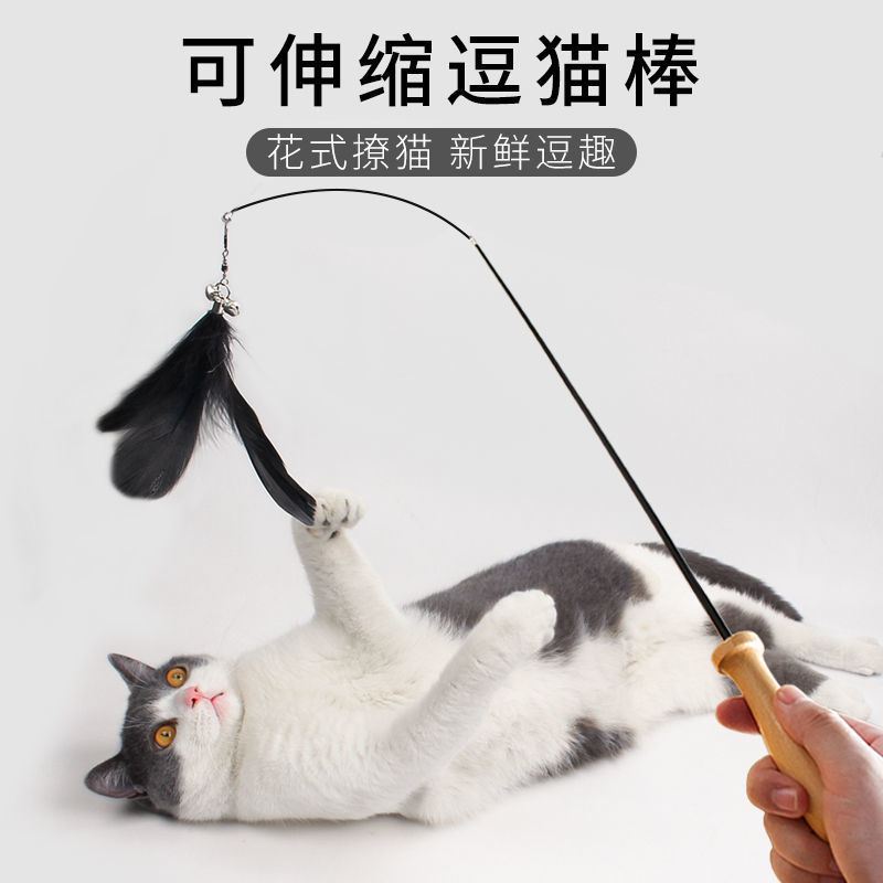 猫玩具逗猫棒羽毛仙女棒磨牙棒斗猫小猫老鼠宠物猫咪用品逗猫神器