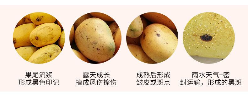 小台农芒果现摘新鲜应季水果1/5/10斤装鸡蛋芒整箱批发包邮