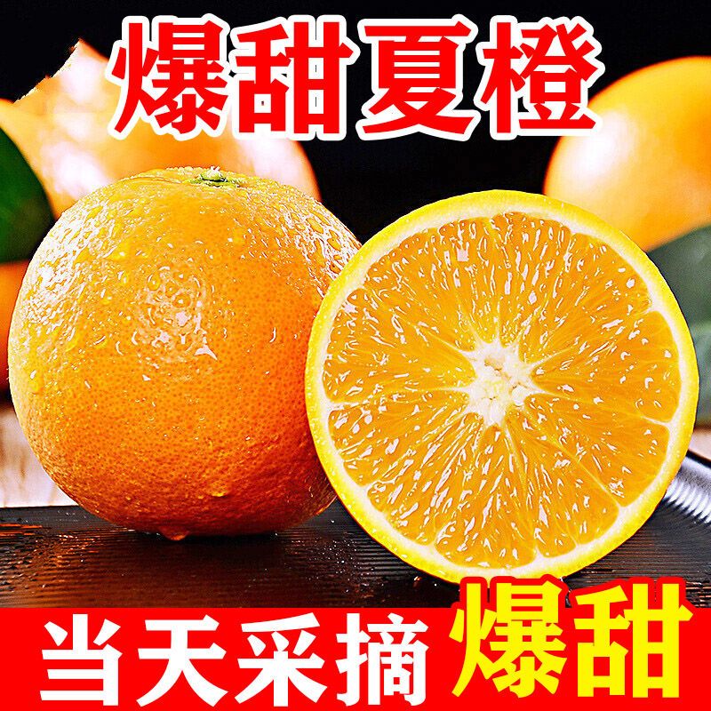橙子秭归夏橙当季新鲜水果5/10斤现摘手剥甜橙脐橙冰糖橙批发包邮