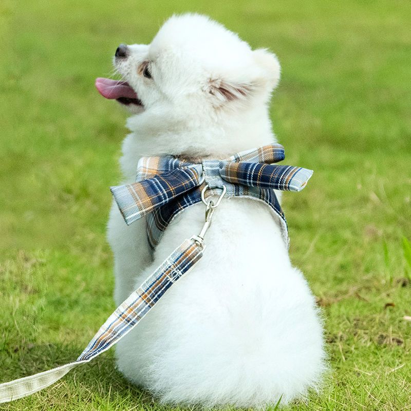 Pet Bow Dog Cat JK Style Skirt Traction Rope Pet Walking Out Cat Rope Walking Dog Rope Pet Supplies