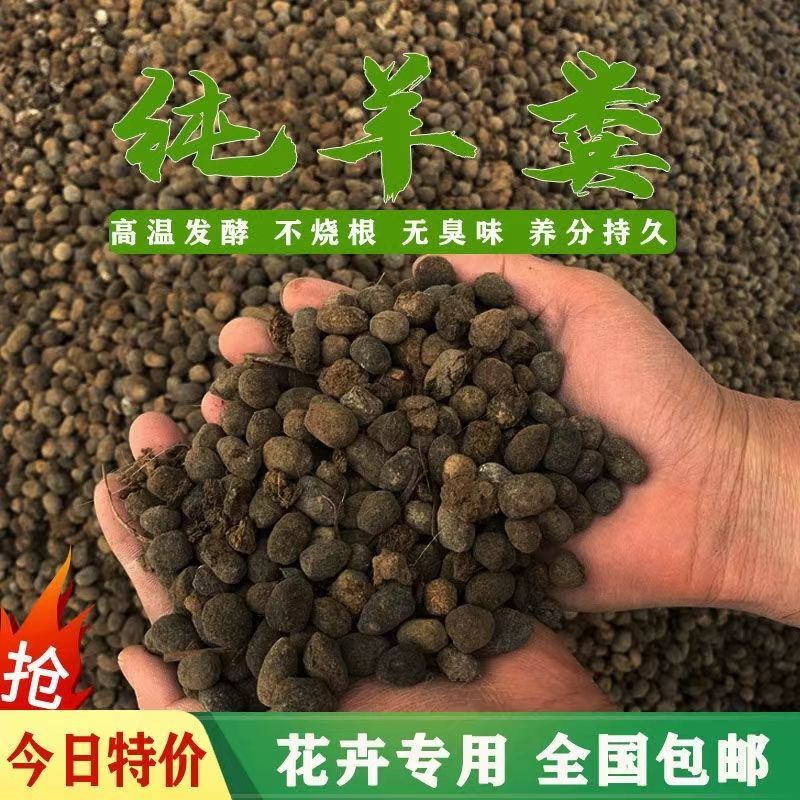 羊粪肥100斤（粉末）
