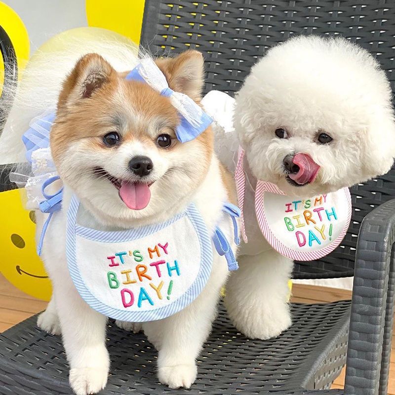 韩国猫咪生日装扮小狗派对围兜宠物生日口水巾比熊三角巾围脖生日