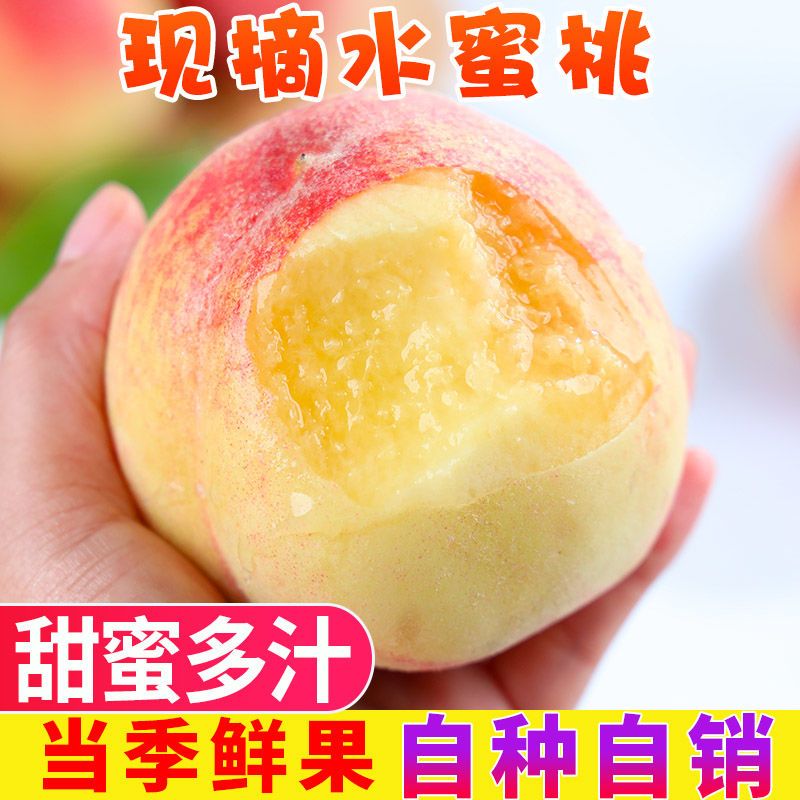 【爆甜水蜜桃】新鲜水果现摘水蜜桃5斤非油桃毛桃脆桃子批发包邮