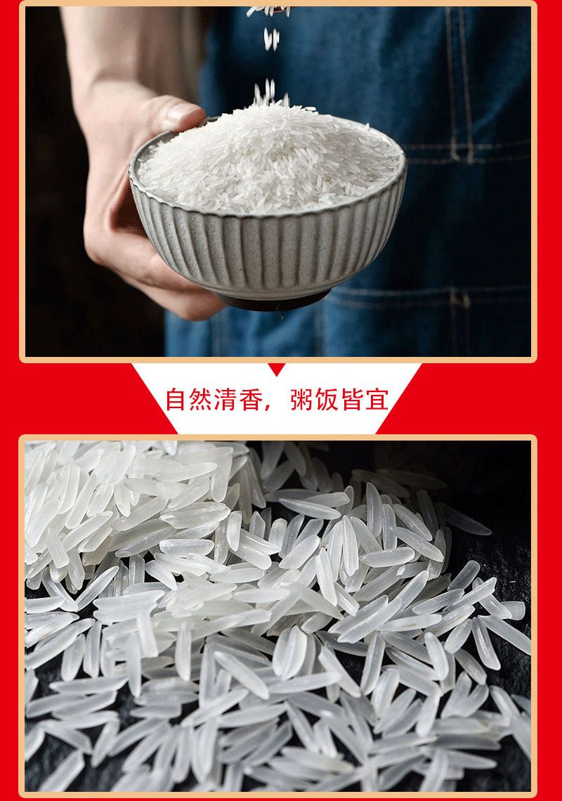 州佐ZHOUZUO 广西瑶族象牙香米晚稻长粒新米煲仔饭猫牙米稻花香五常大米批发价