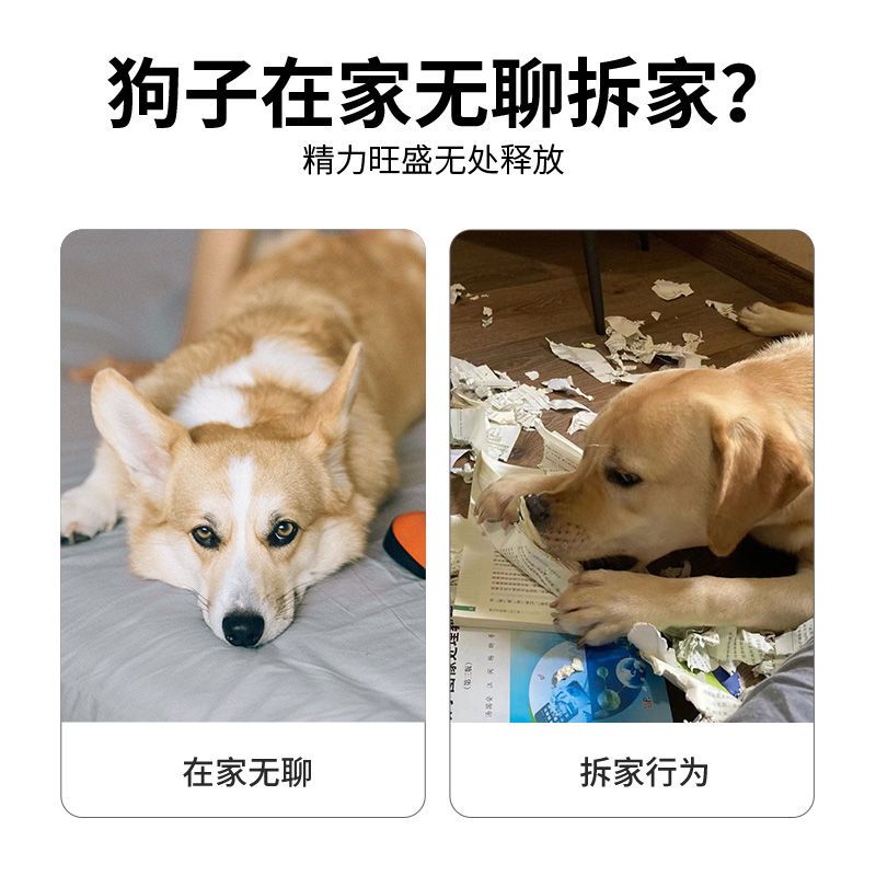 Pet dog ringing paper sounding toy newspaper poker bite-resistant grinding teeth Ke Jinmao Labrador medium and large dogs