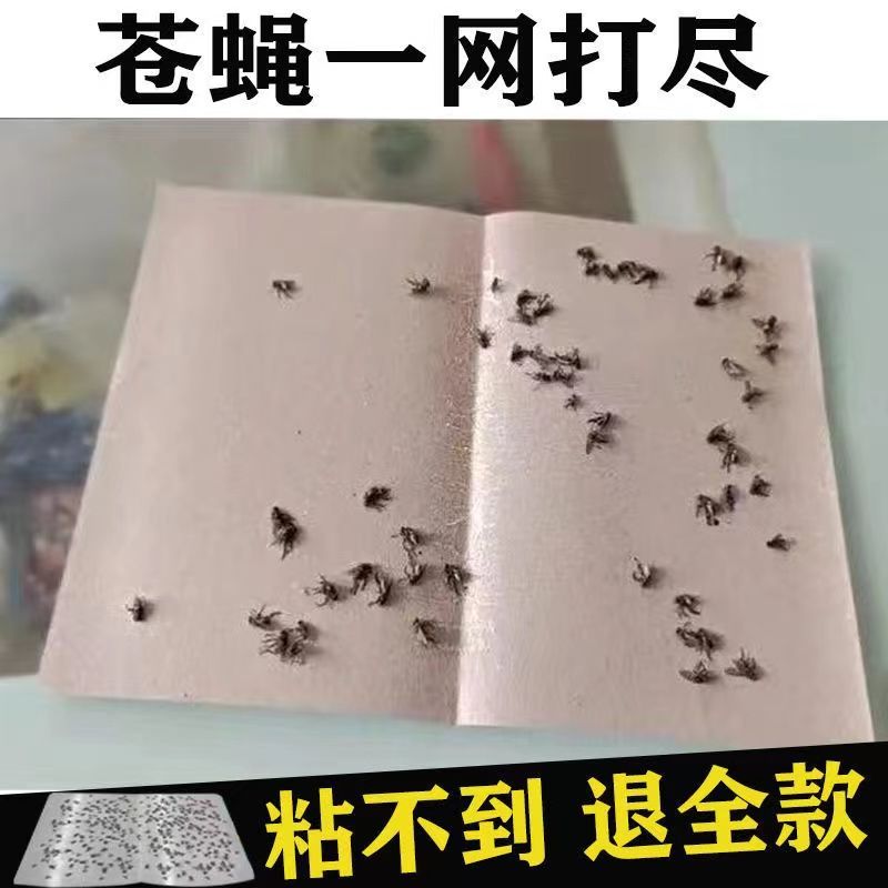 【100张】苍蝇贴强力粘蝇纸苍蝇神器餐饮家用粘蝇板灭苍蝇药