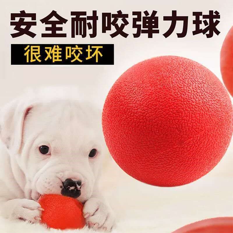狗狗玩具球耐咬实心球幼犬大型犬马犬磨牙解闷弹力球宠物狗训练球