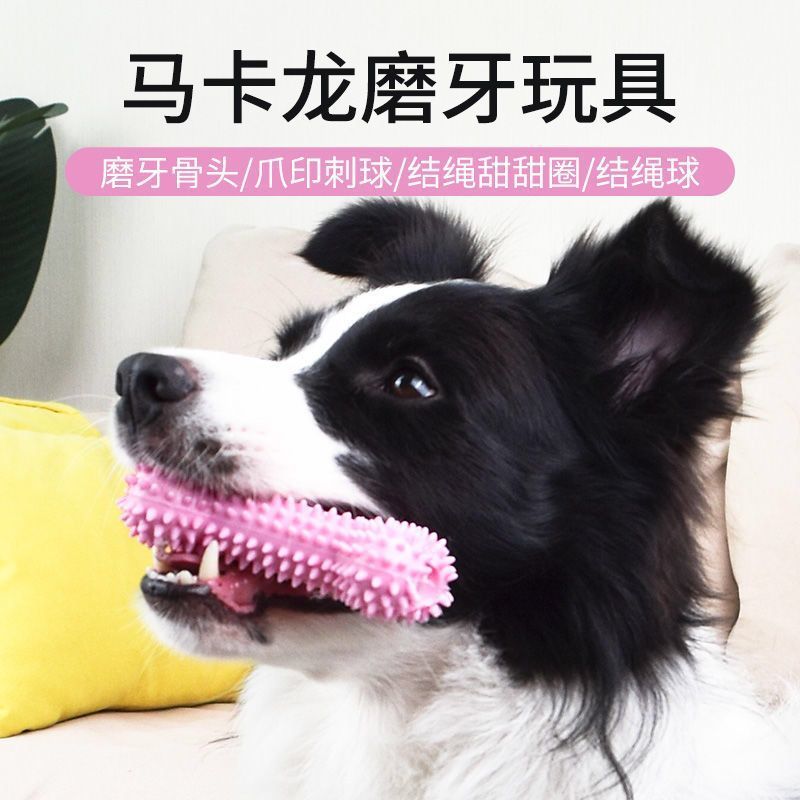 宠物狗狗玩具磨牙棒耐咬小中大型犬泰迪金毛橡胶洁齿训练玩具绳结