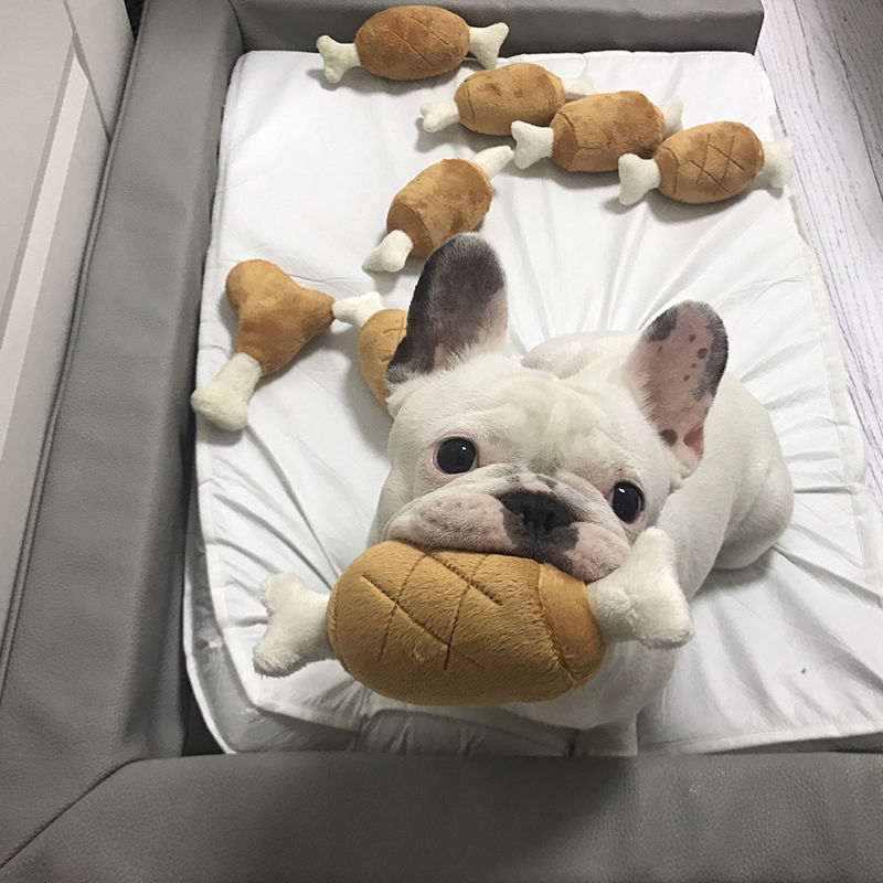 TiTo Pet Plush Toy Bite Resistant Teeth Grinding Companion Interaction Large, Medium, and Small Dogs Simulated Sounding Chicken Leg Bone