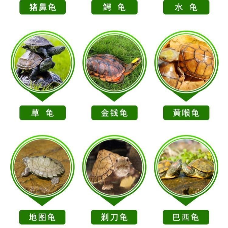 龟粮草龟巴西龟鳄鱼龟小龟小颗粒幼龟粮通用乌龟饲料