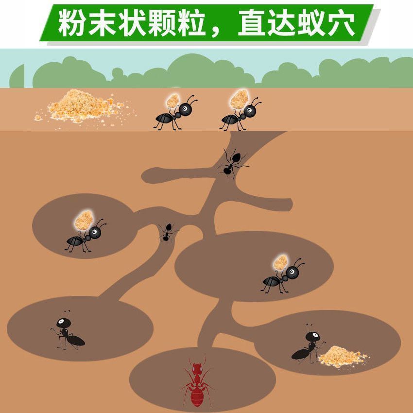 绿叶蚂蚁药粉灭蚁清家用非无毒室内厨房蟑螂一窝端室外杀红黄黑蚁