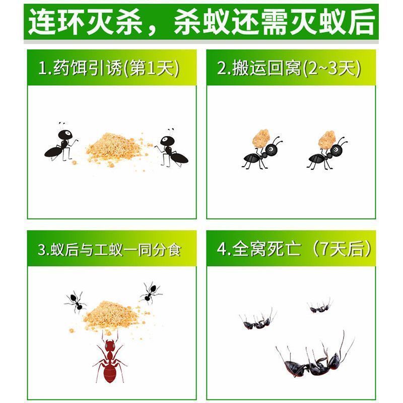 绿叶蚂蚁药粉灭蚁清家用非无毒室内厨房蟑螂一窝端室外杀红黄黑蚁