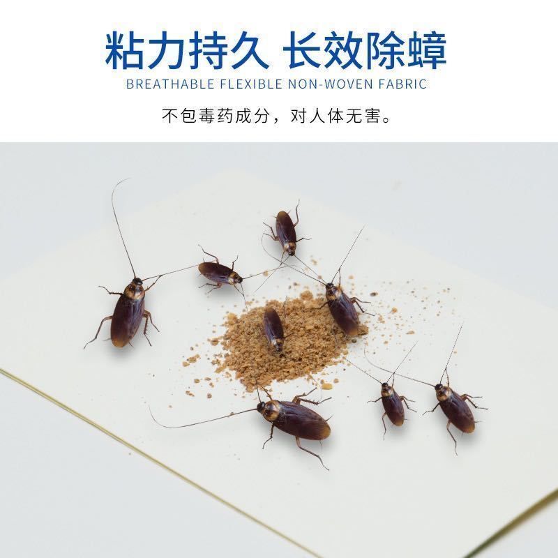 绿叶蟑螂粘板蟑螂贴蟑螂药家用无毒一窝端室内厨房蟑螂神器一扫光