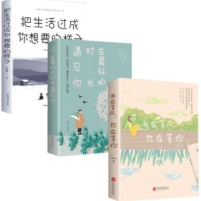 言情小说青春校园 我在等风也在等你 在好的时光遇见你霸道总裁