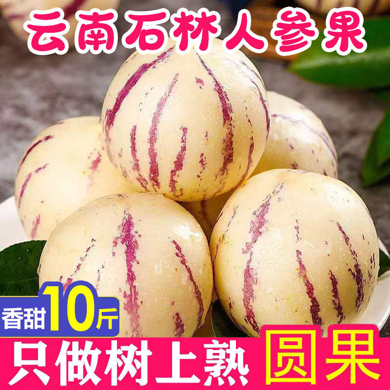 185447-【圆果更甜】树上熟新鲜云南石林人参果当季鸡蛋果长寿果批发包邮-详情图