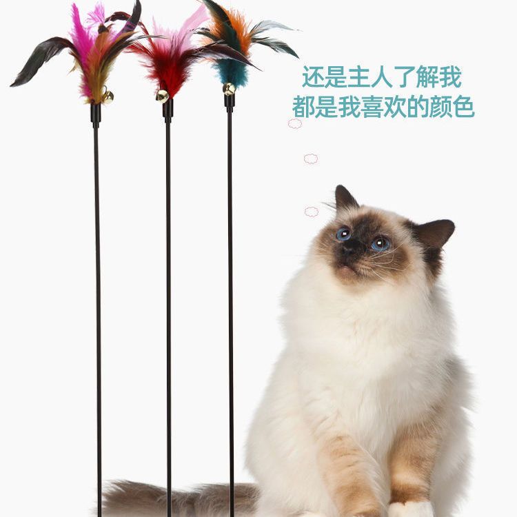 逗猫棒猫玩具自嗨解闷铃铛羽毛小猫仙女互动跳跃训练幼猫猫咪用品