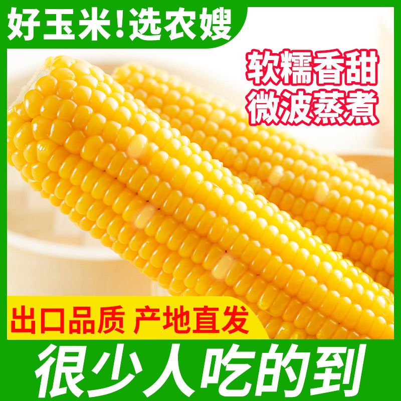 东北农嫂黄糯玉米香东北原产黑花玉米非转基因加热即食