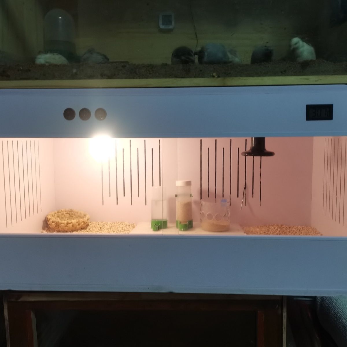 pvc饲养箱 芦丁蜥蜴陆龟蛇仓鼠蜜袋鼯加热保温箱爬宠箱(需组装)