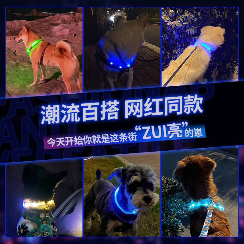 Dog luminous dog collar pet luminous dog walking light dog collar collar night large dog small dog glow charging
